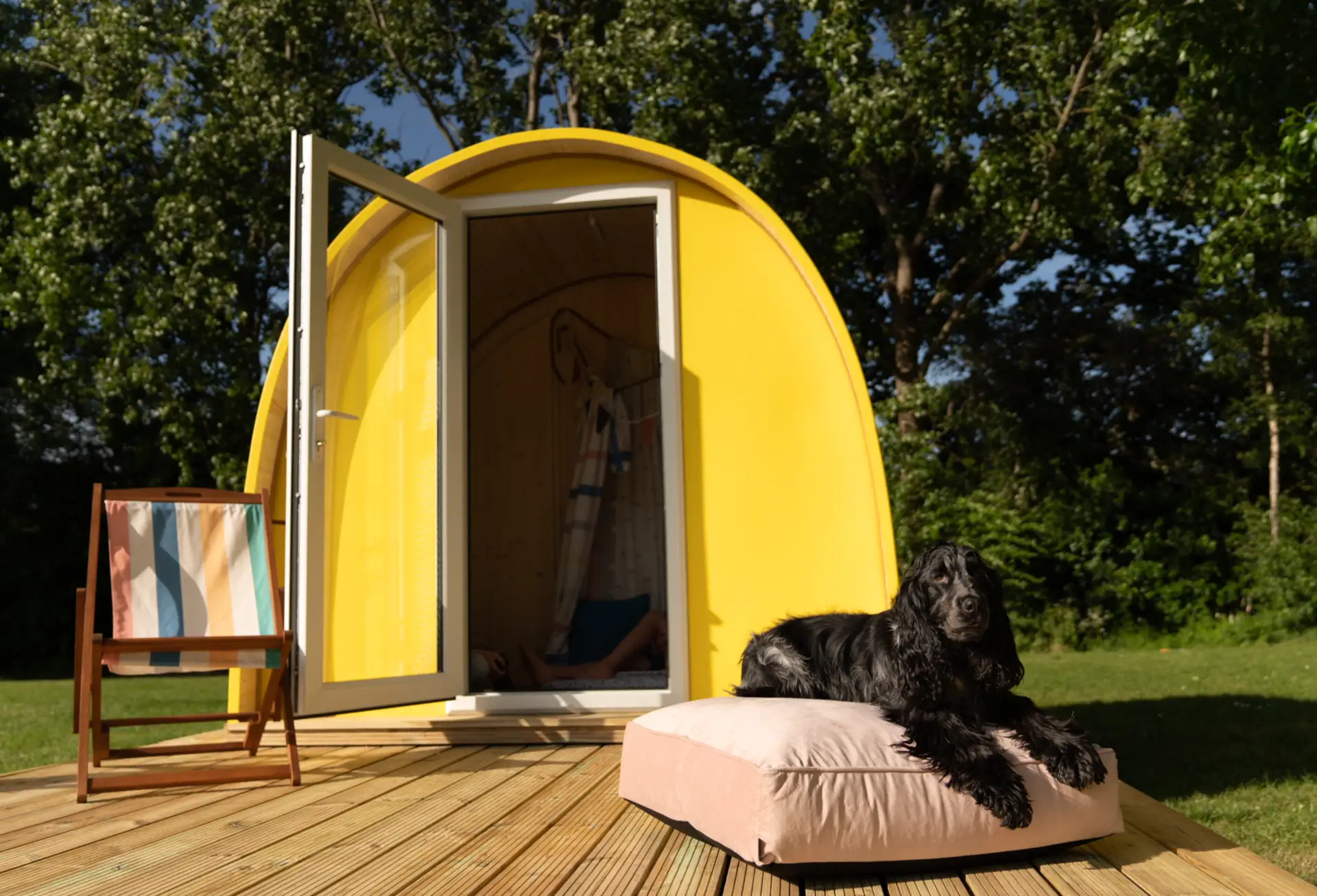 dog grooming garden pod