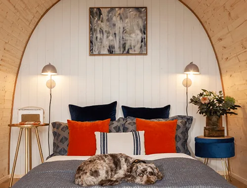 glamping pod how much
